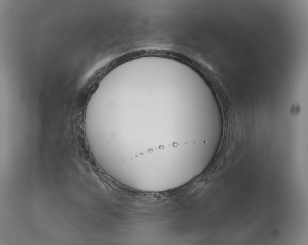 X0000110861255200906180937