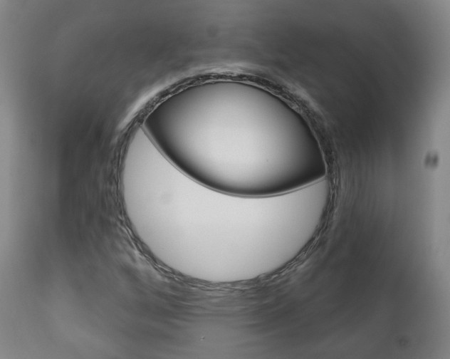 X0000110861256200906180937