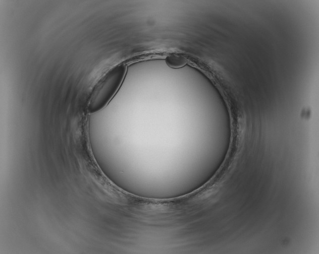 X0000110861257200906180937