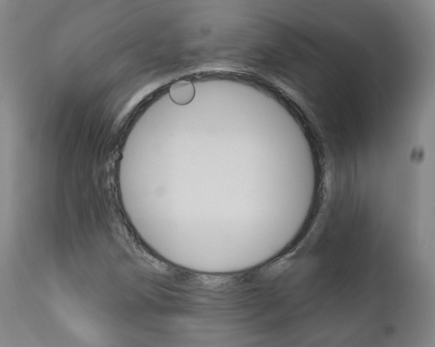 X0000110861258200906180937