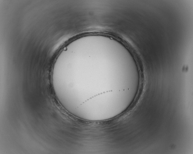 X0000110861259200906180937