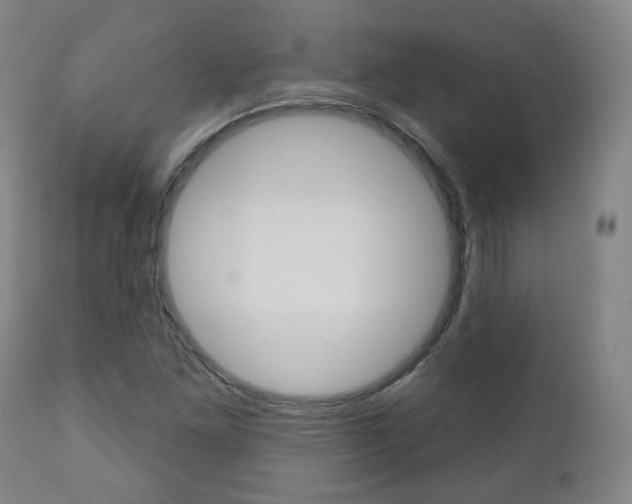 X0000110861261200906180937