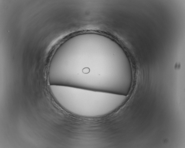 X0000110861262200906180937