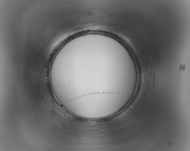 X0000110861263200906180937