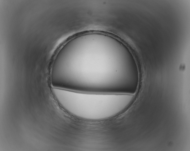 X0000110861264200906180937
