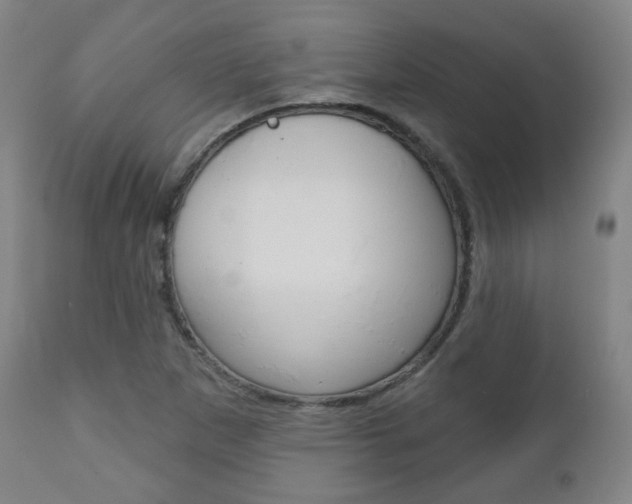 X0000110861265200906180937