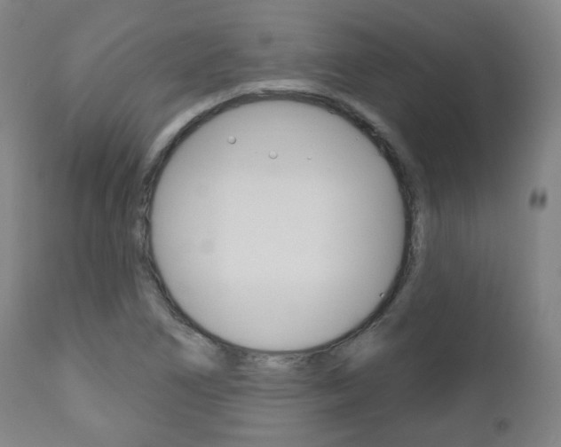 X0000110861266200906180937
