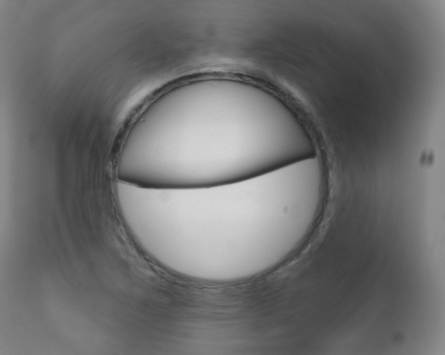 X0000110861267200906180937