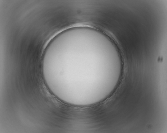 X0000110861268200906180937