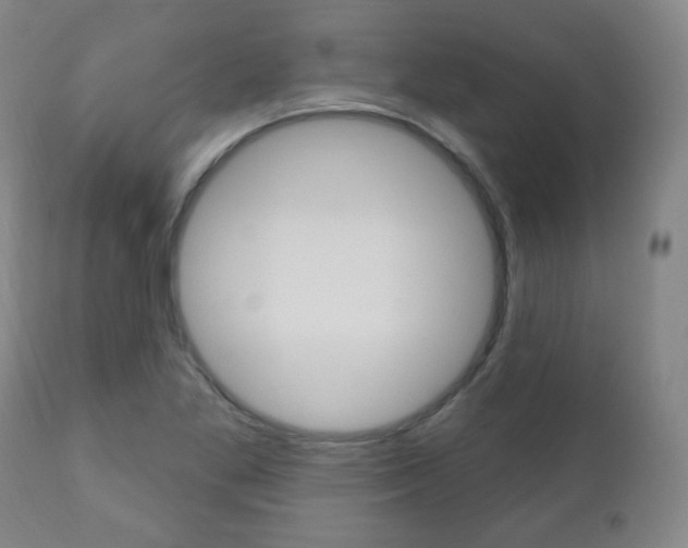X0000110861269200906180937