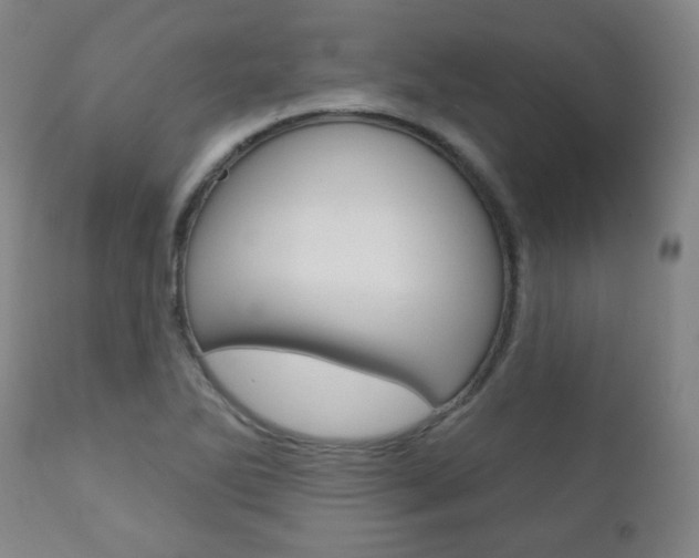 X0000110861270200906180937