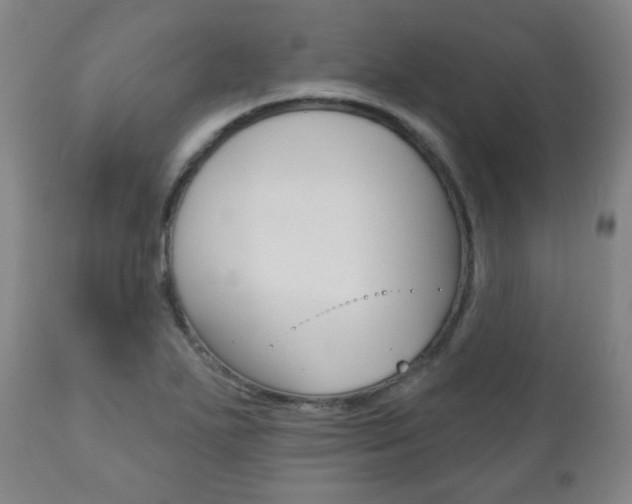 X0000110861271200906180937