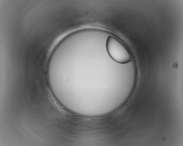X0000110861272200906180937