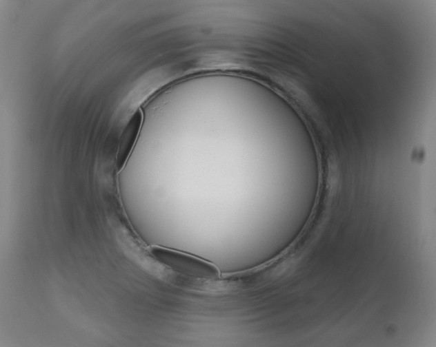 X0000110861273200906180937