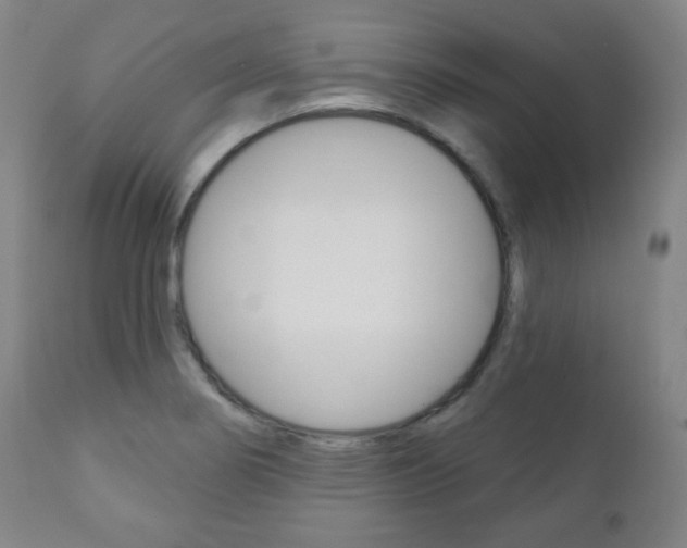 X0000110861274200906180937