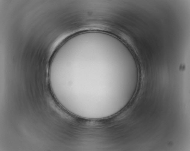 X0000110861275200906180937