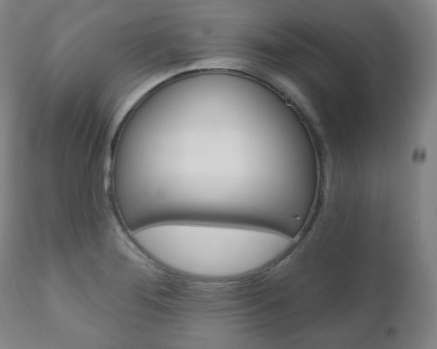 X0000110861276200906180937