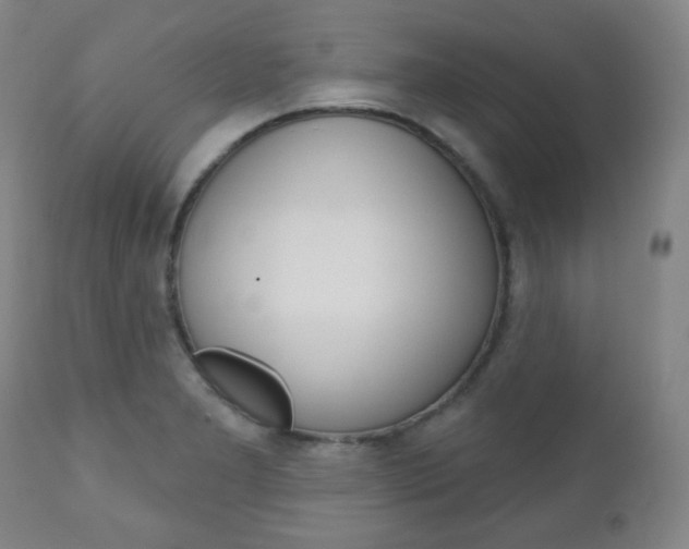 X0000110861277200906180937