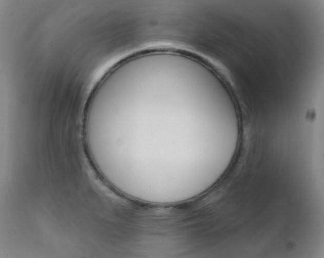 X0000110861279200906180936