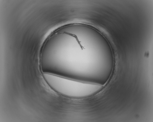 X0000110861280200906180936