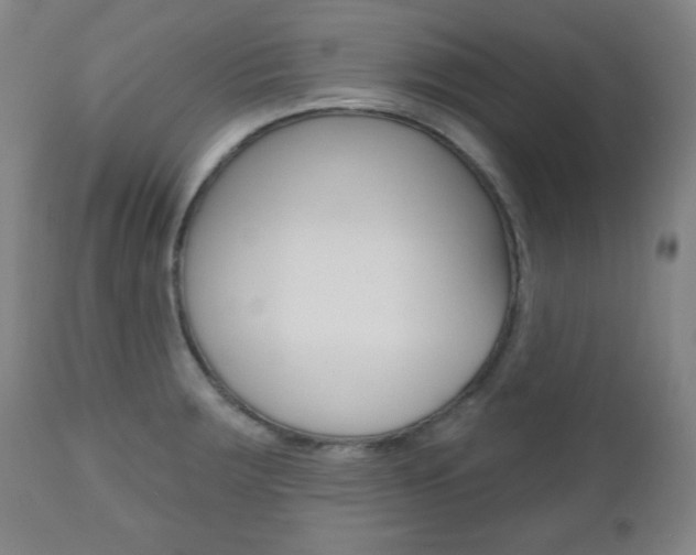 X0000110861283200906180936