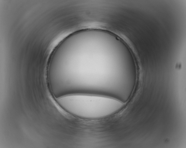 X0000110861285200906180936