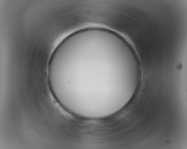X0000110861287200906180936