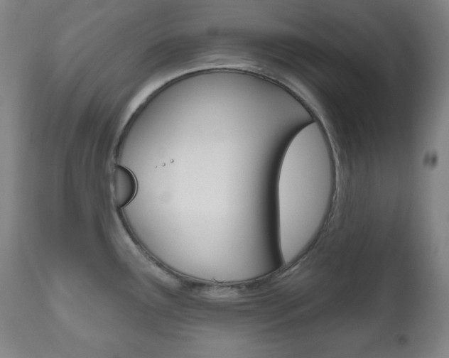 X0000110861291200906180936