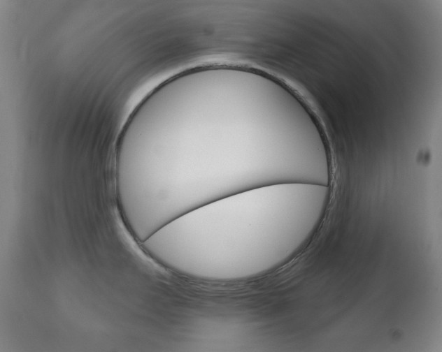 X0000110861295200906180936