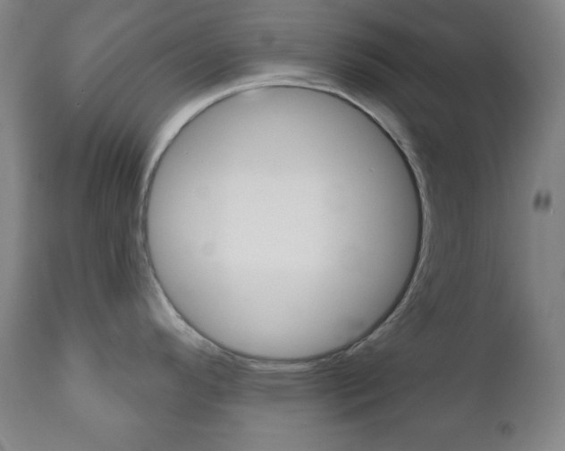 X0000110861296200906180936