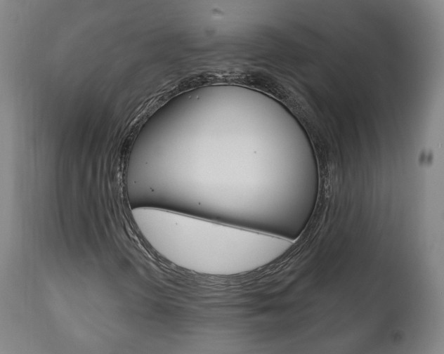 X0000110861298200906180935