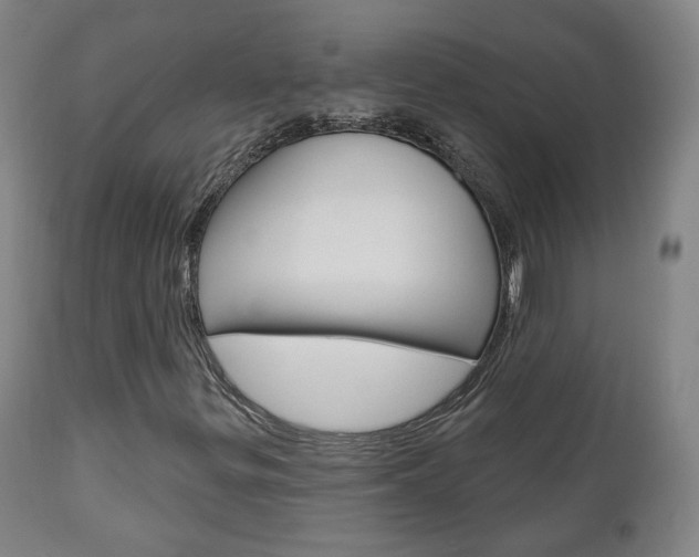 X0000110861299200906180935
