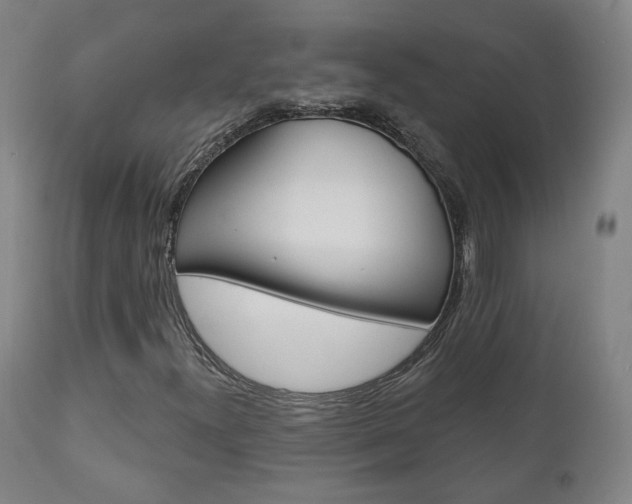 X0000110861300200906180935