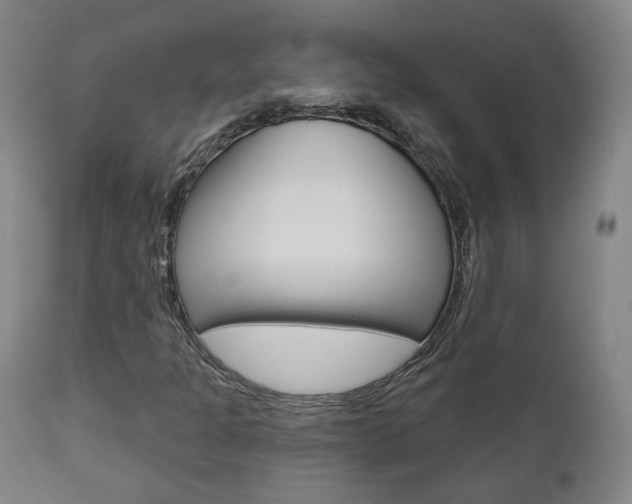 X0000110861301200906180935