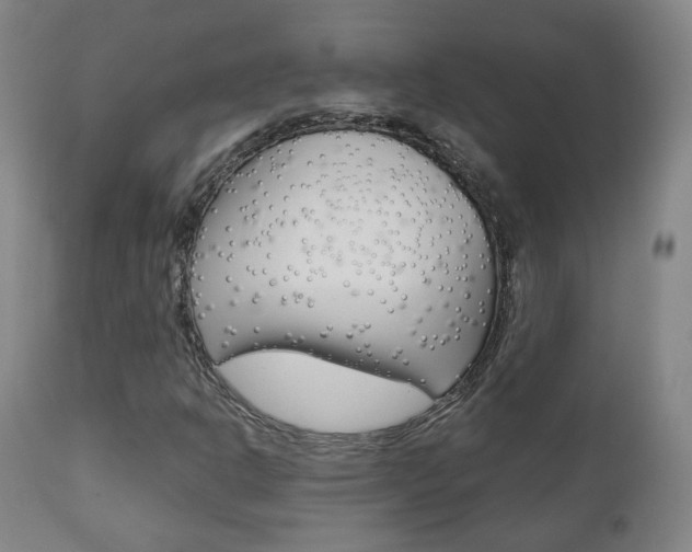 X0000110861302200906180935