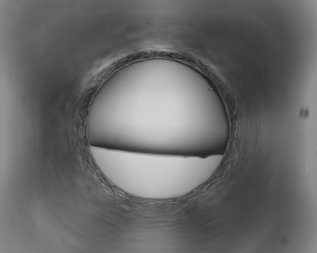 X0000110861303200906180936