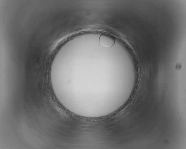 X0000110861304200906180936