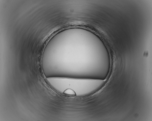 X0000110861305200906180936