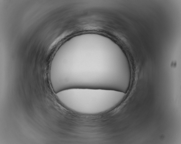 X0000110861306200906180936