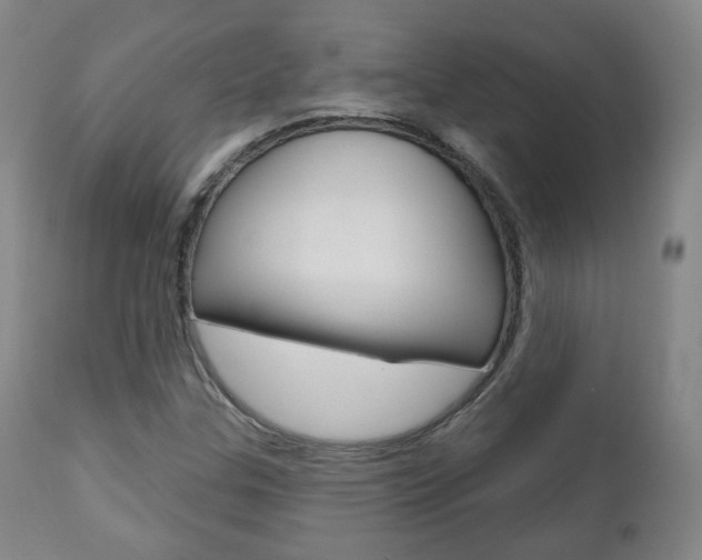 X0000110861307200906180936