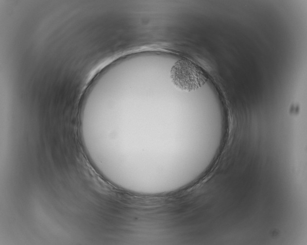 X0000110861308200906180936