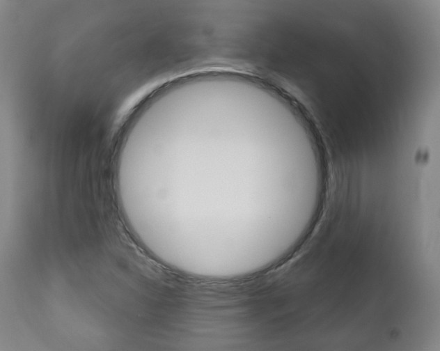 X0000110861310200906180936