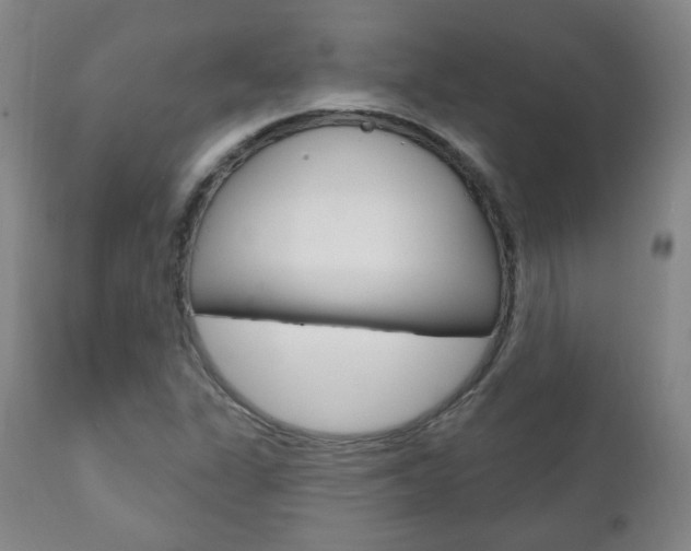 X0000110861311200906180936