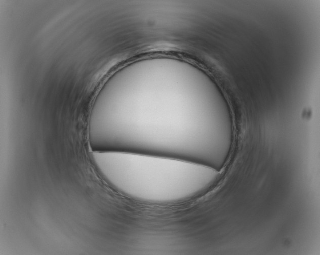 X0000110861313200906180936