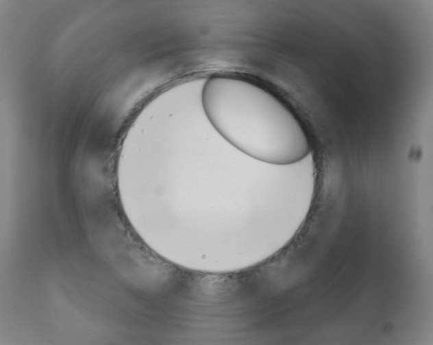 X0000110861314200906180936