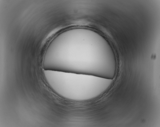 X0000110861315200906180936