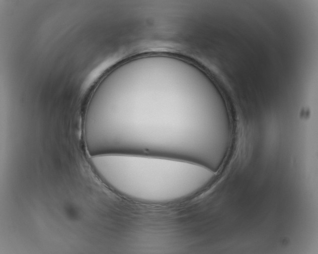 X0000110861317200906180936