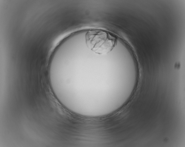 X0000110861320200906180936