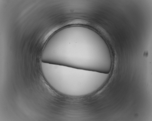 X0000110861321200906180936
