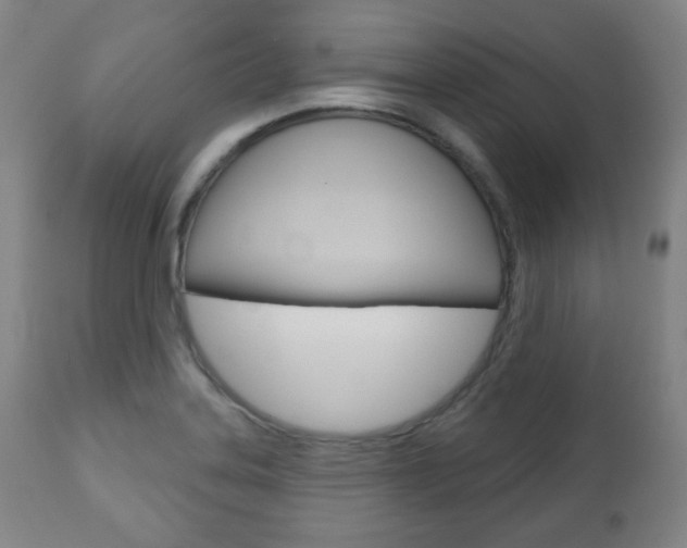 X0000110861323200906180936